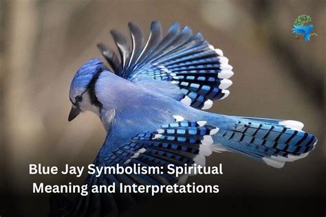 what does a blue jay represent spiritually