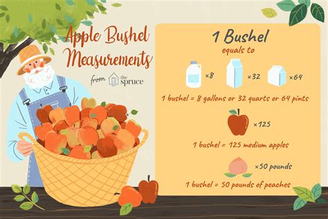 What Does A Bushel Equal