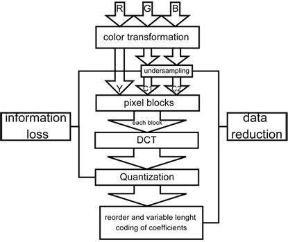what does a compression algorithm do