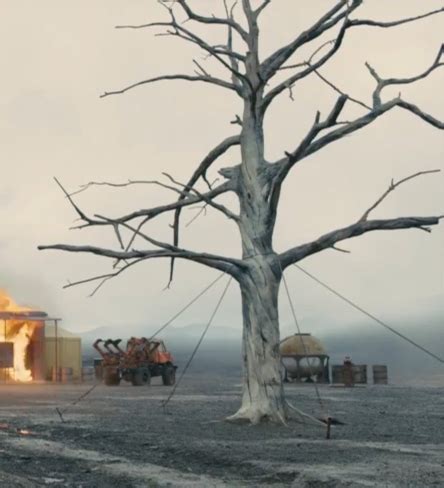 What Does A Dead Tree Symbolize