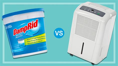 what does a dehumidifier do for damp