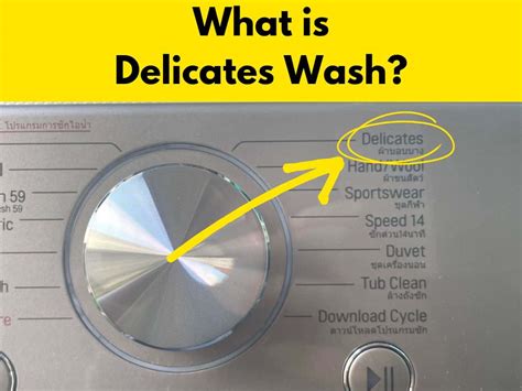 What Does A Delicates Wash Do