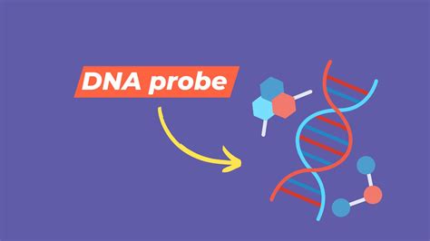 What Does A Dna Probe Test For