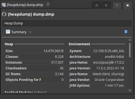 What Does A Heap Dump Contain