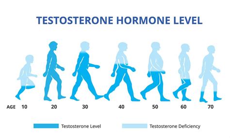 What Does A Low Testosterone Level Mean