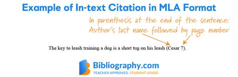 what does a mla in text citation include in parentheses quizlet
