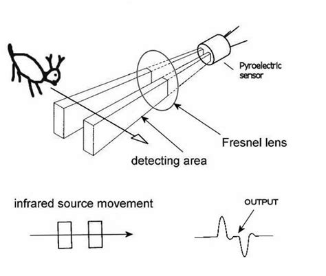 what does a motion detector do in physics