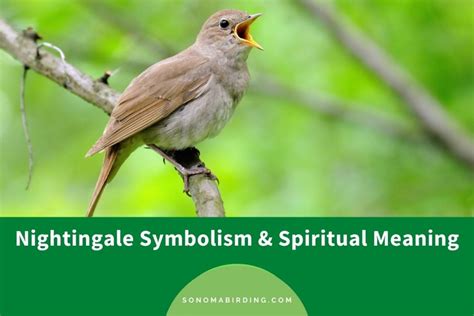 what does a nightingale symbolize