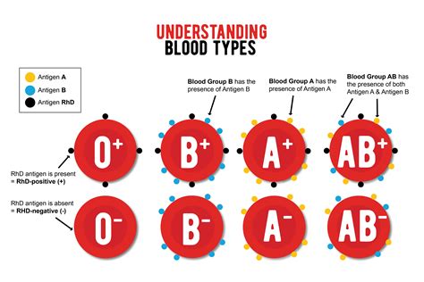 what does a positive and a negative blood type make