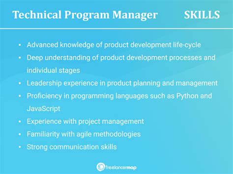 what does a senior technical program manager do
