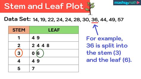 What Does A Stem And Leaf Plot Look Like