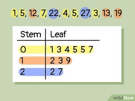 What Does A Stem And Leaf Plot Show