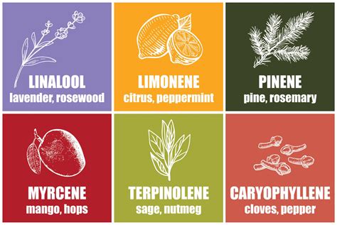 What Does A Terpene Shield Do