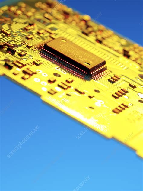 What Does A Tracking Chip Look Like
