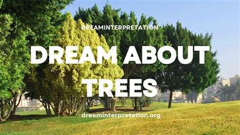 What Does A Tree Represent In Dream