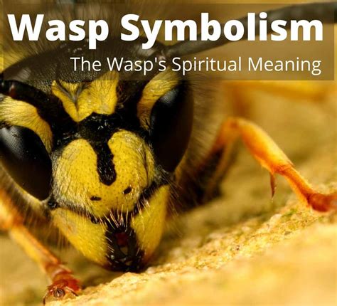 what does a wasp symbolize spiritually