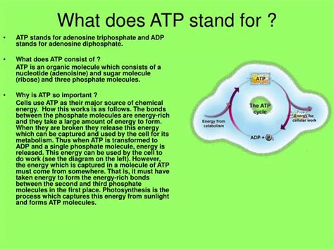 what does a. tp stand for