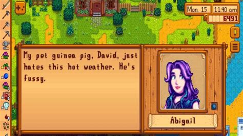 what does abigail like in stardew valley