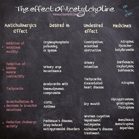 what does acetylcholine affect