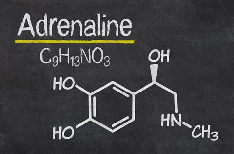 what does adrenaline mean