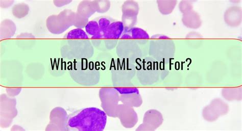 what does aml stands for