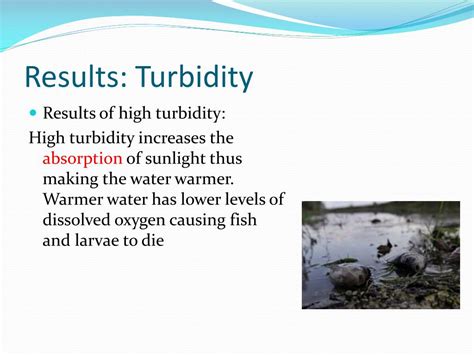 What Does An Increase In Turbidity Indicate