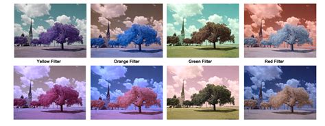 What Does An Infrared Camera Filter Do