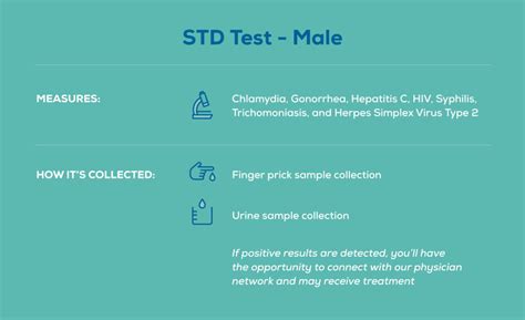 what does an std test include