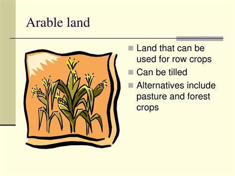 What Does Arable Land Mean Dictionary
