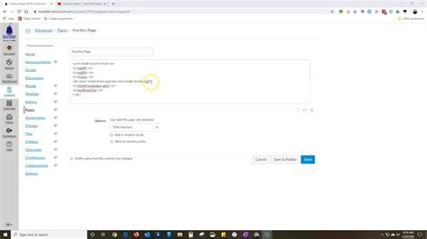 what does article div mean in canvas