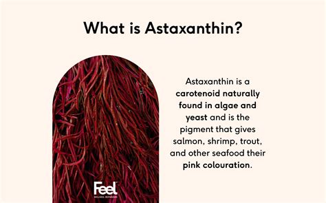 What Does Astaxanthin Come From