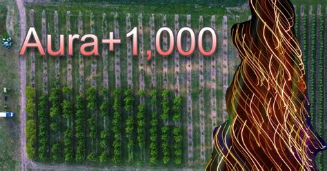What Does Aura Farming Mean