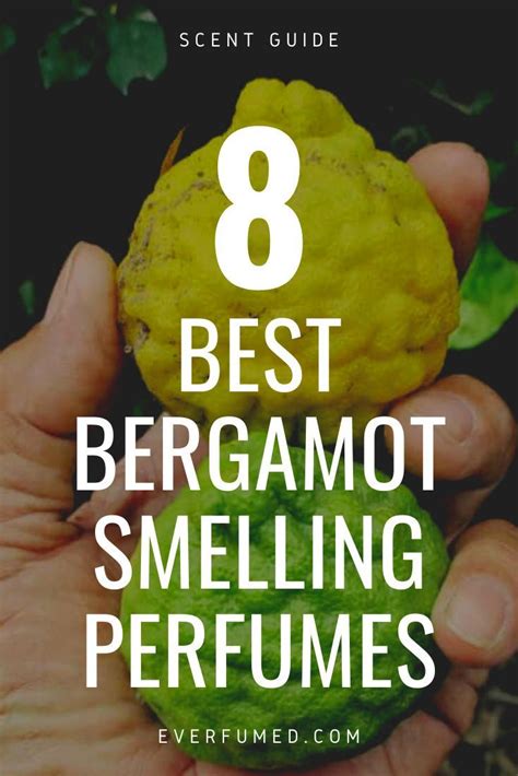 what does bergamot fragrance smell like