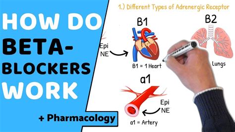 What Does Beta Blockers Do: Understanding Their Role in Managing Heart Health