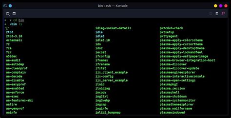 What Does Bin Directory In Linux