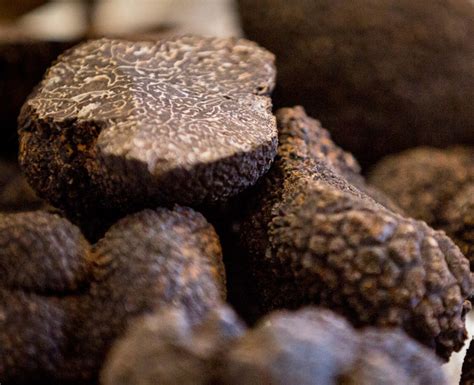 What Does Black Truffle Taste Of