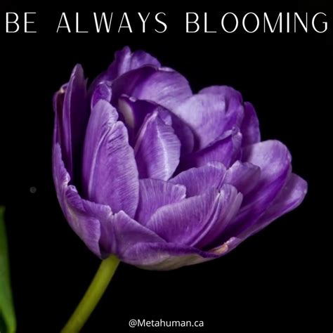 What Does Blooming Me Mean