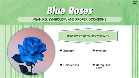 What Does Blue Rose Stand For