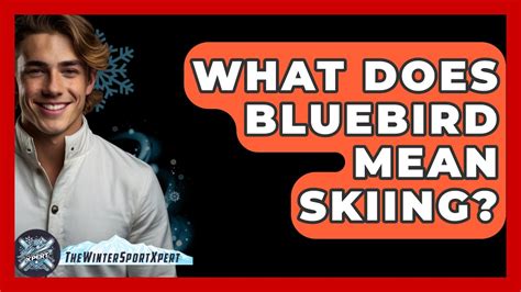 What Does Bluebird Mean Skiing