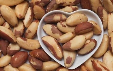 what does brazil nuts taste like