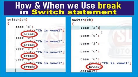 what does break mean in c