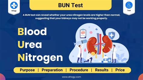 what does bun mean in my blood test