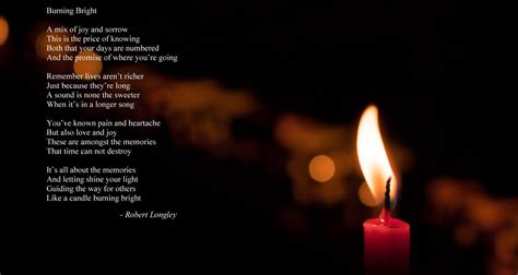 What Does Burning Bright Mean