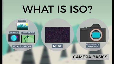 what does camera iso stand for