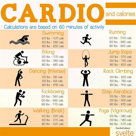 What Does Cardio Mean Dictionary