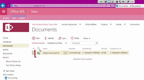what does checking out a file in sharepoint do