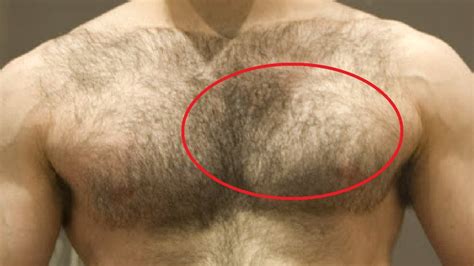  79 Gorgeous What Does Chest Hair Mean Trend This Years