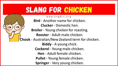 what does chicken mean slang