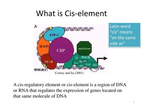 what does cis regulatory element