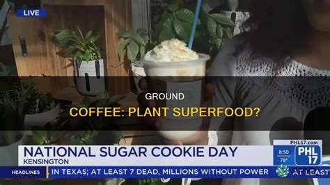 What Does Coffee Do For Plants